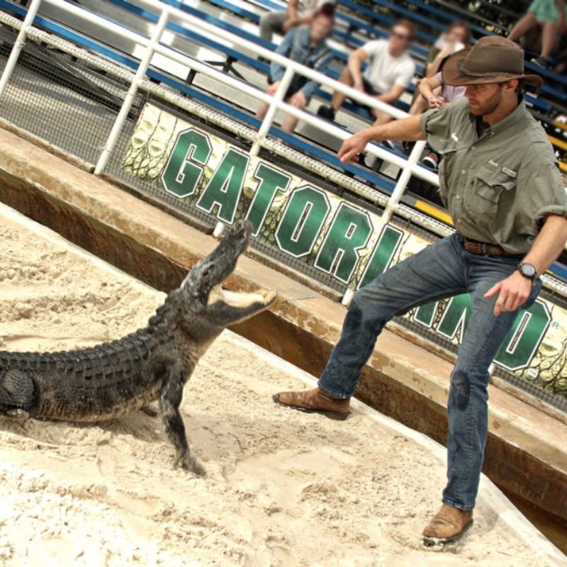 Gatorland